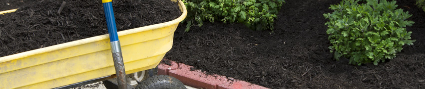 Finding the right Garden Style Finding the right Garden Style
